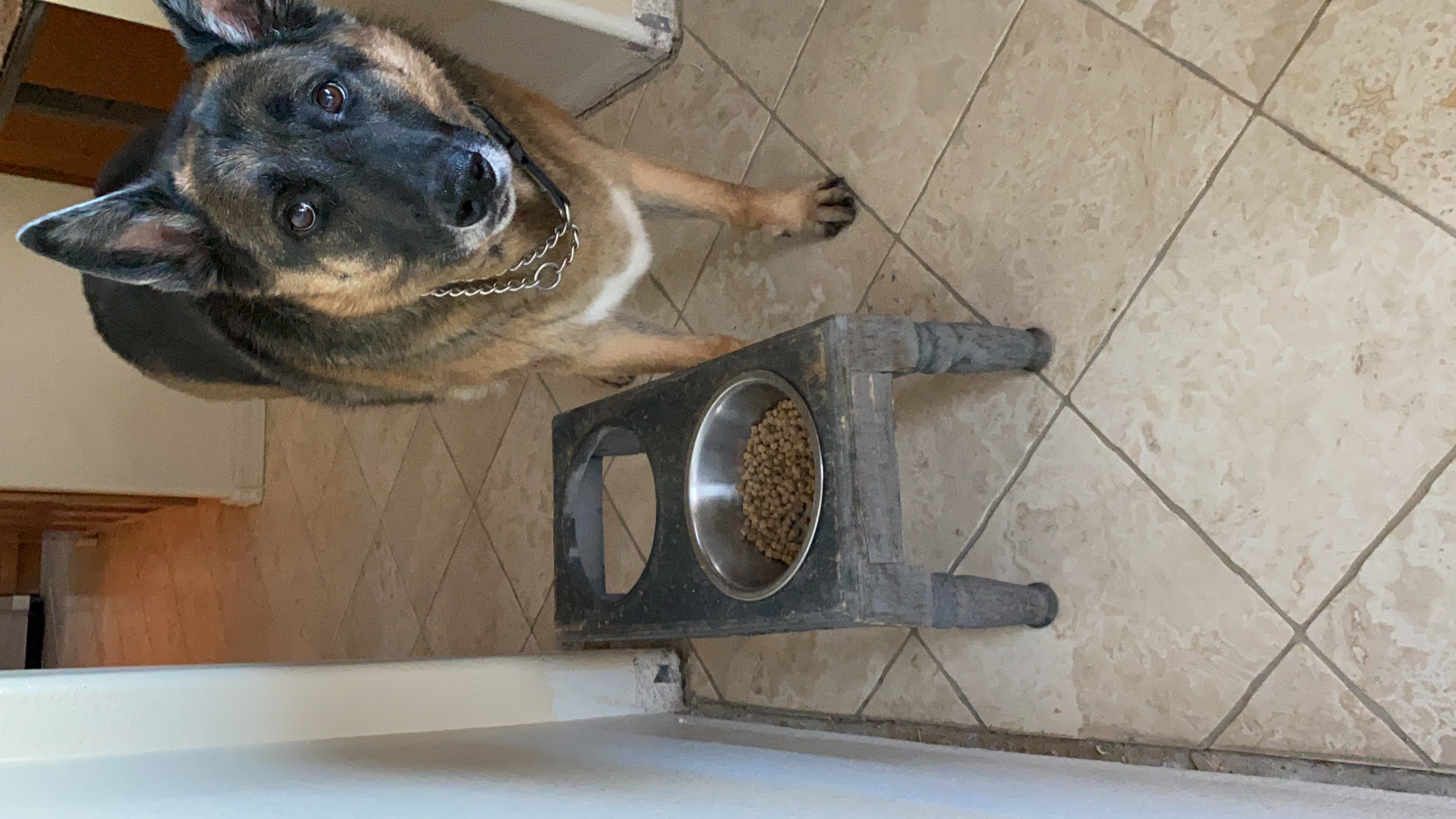 ketona chicken dog food