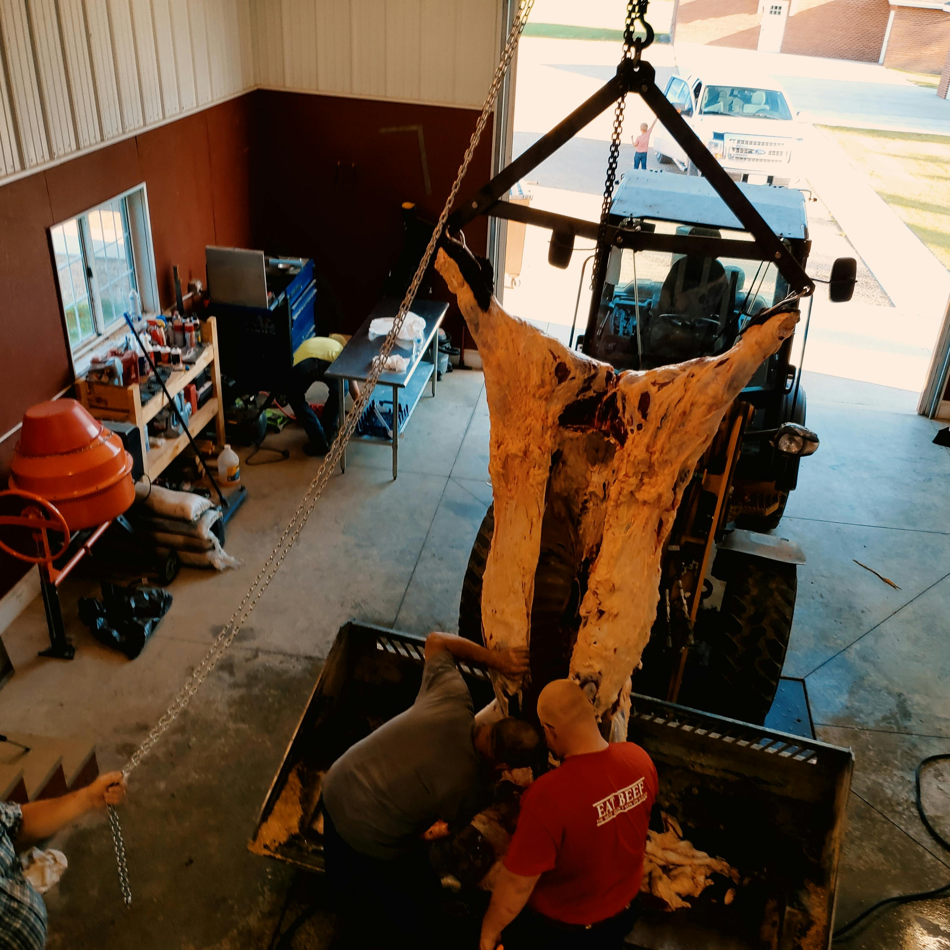 Walton's Inc. Reviews Customer Service Reviews of Walton's Inc