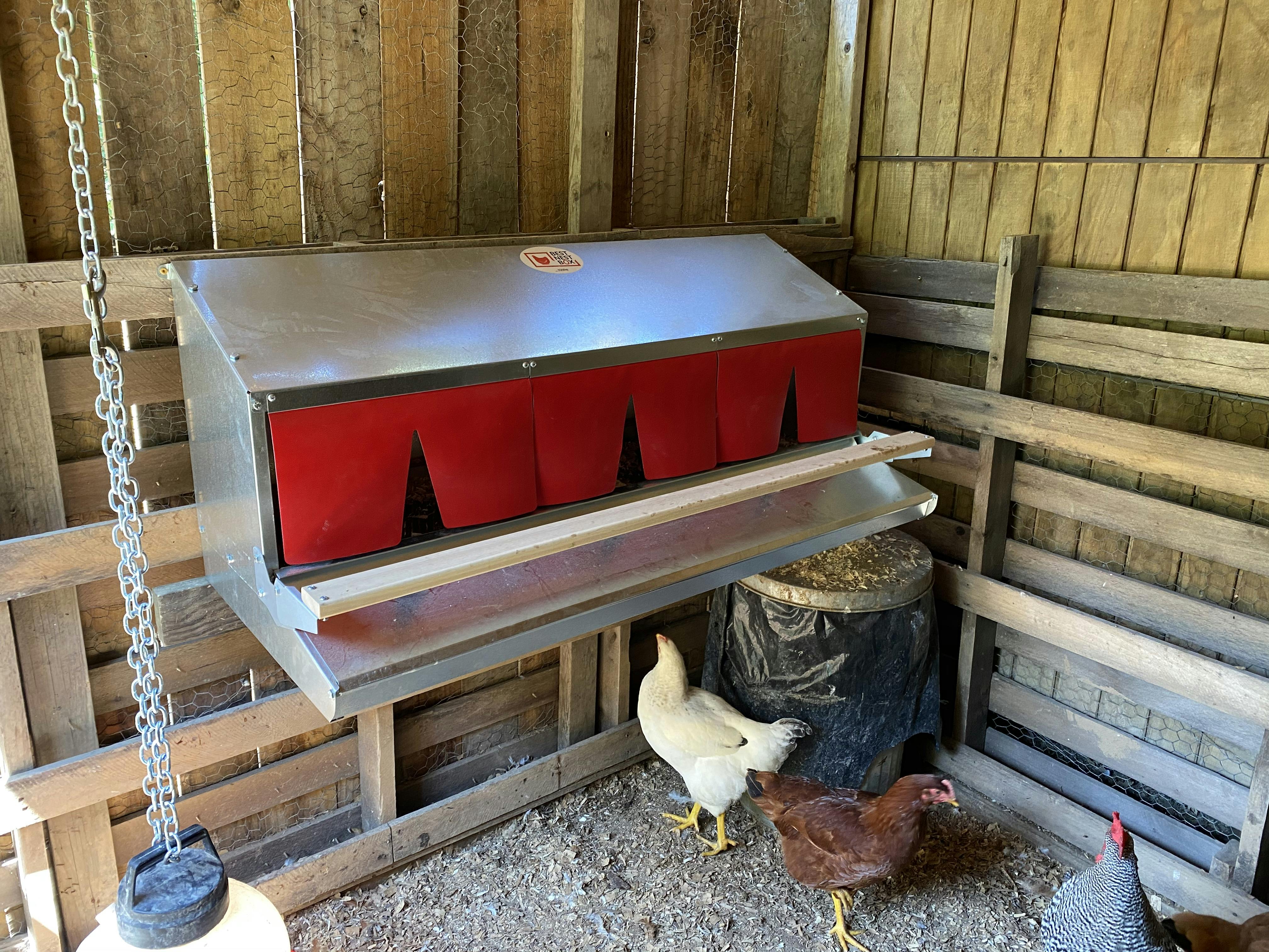 Best Nest Box Product Reviews