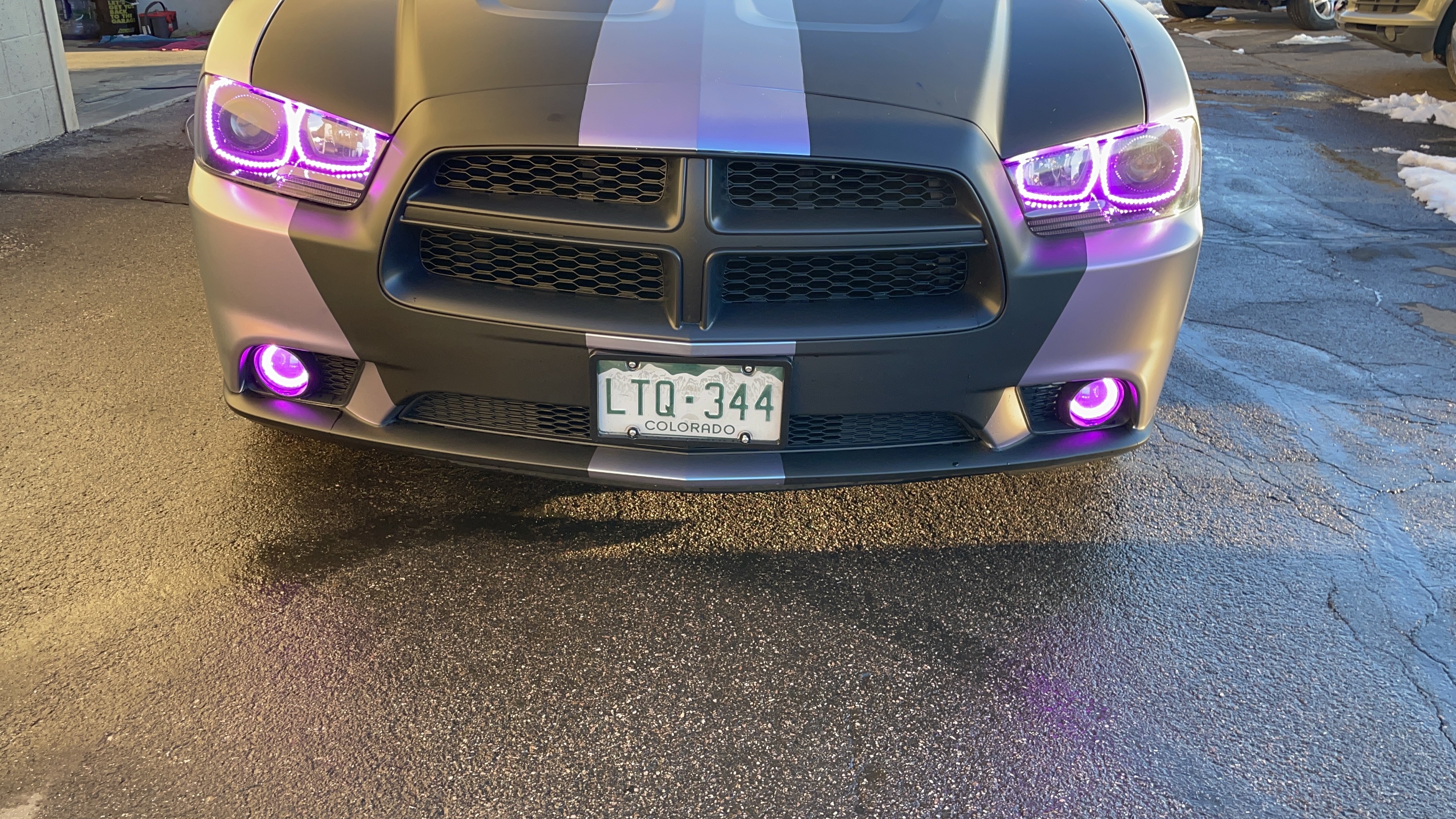 flum vape gio Lighting Trendz: Lighting Trendz 2015-2024 Dodge Charger Fog Outline Halo  LED Kit