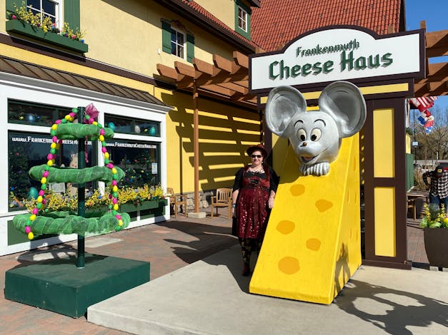 Sweetheart Blouse with Draped Sleeves