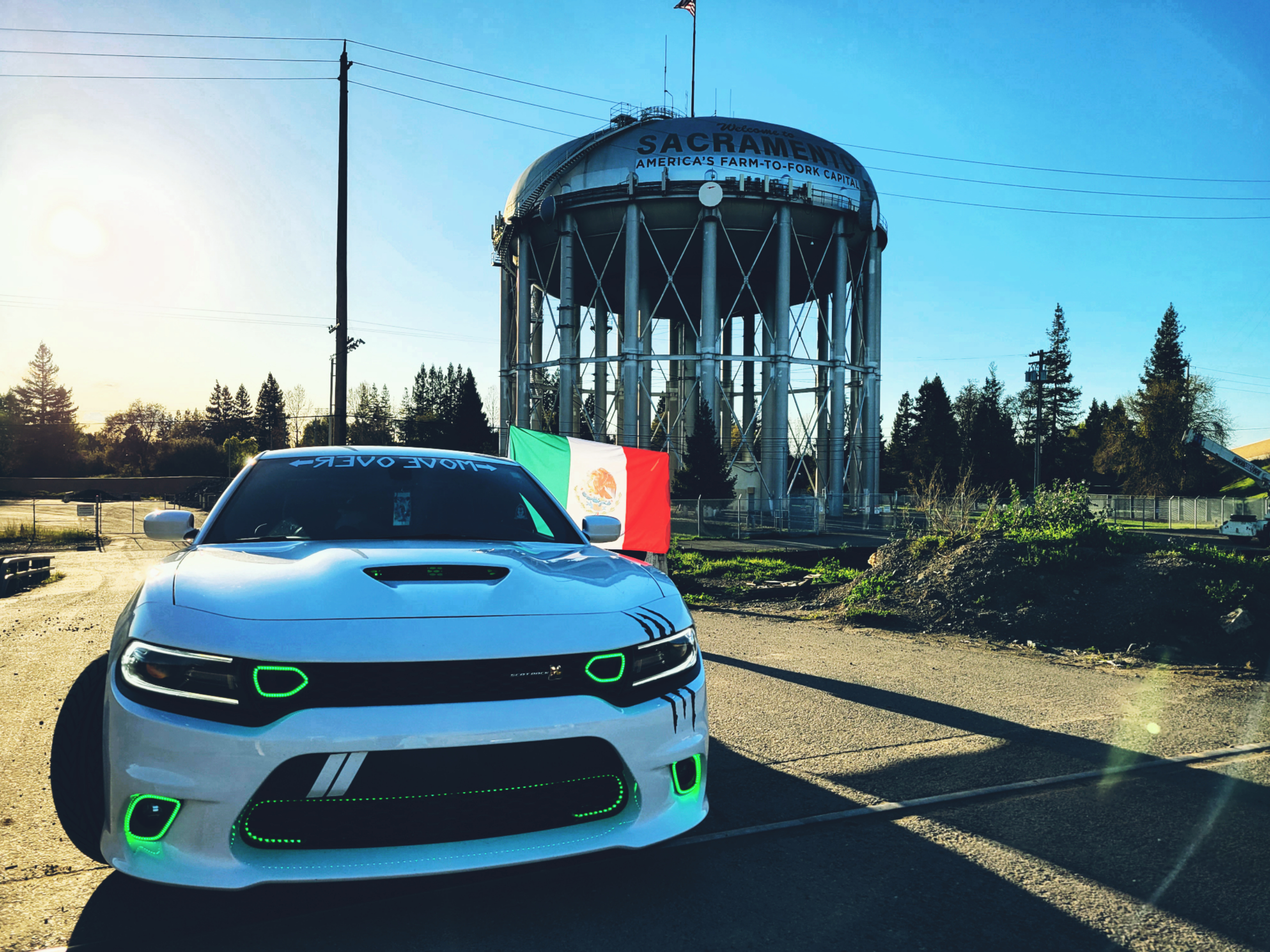 Lighting Trendz: Lighting Trendz 2015-2024 Dodge Charger Fog Outline Halo  LED Kit - Custom