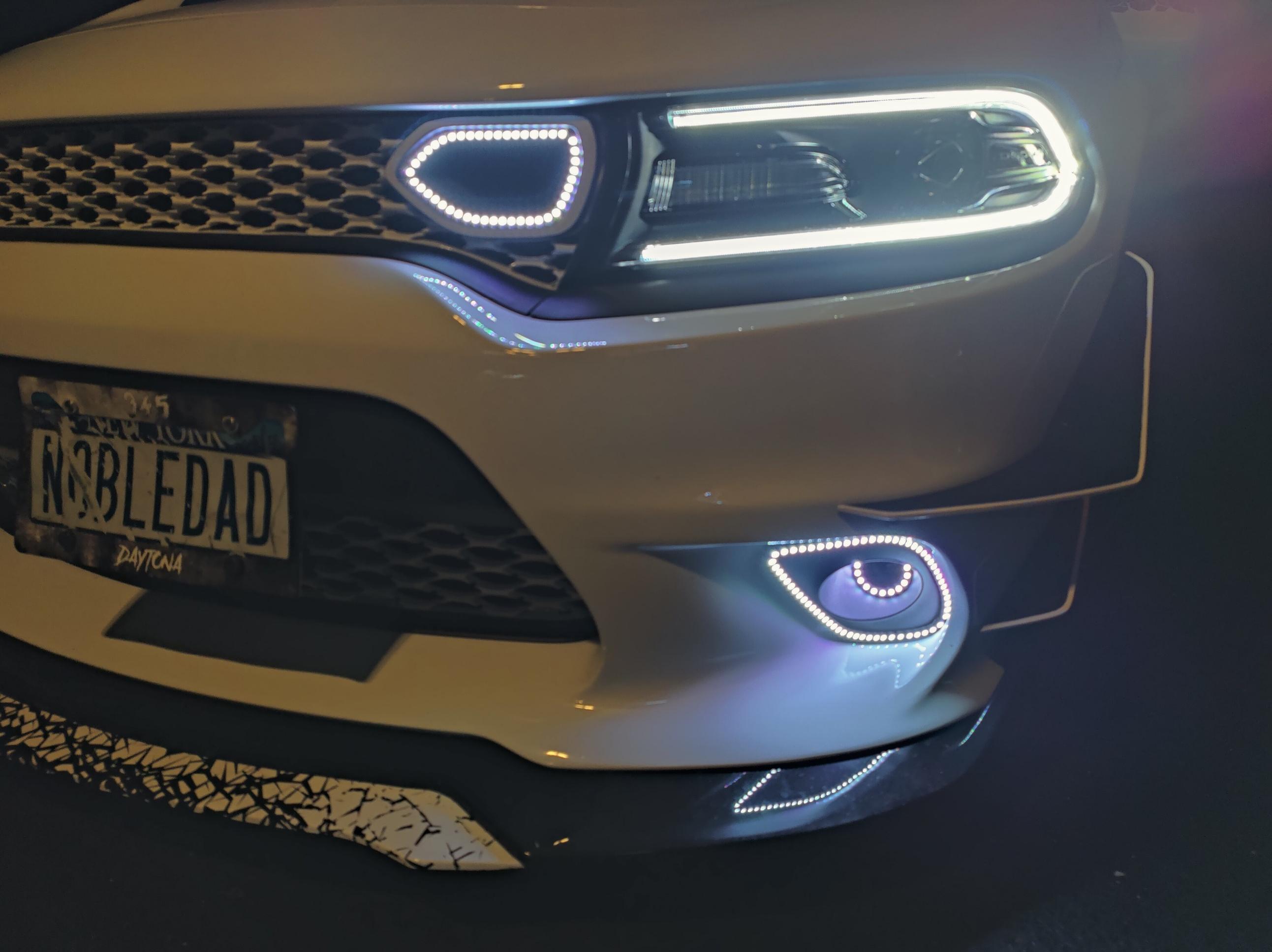 Lighting Trendz: Lighting Trendz 2015-2024 Dodge Charger Fog Outline Halo  LED Kit - Custom
