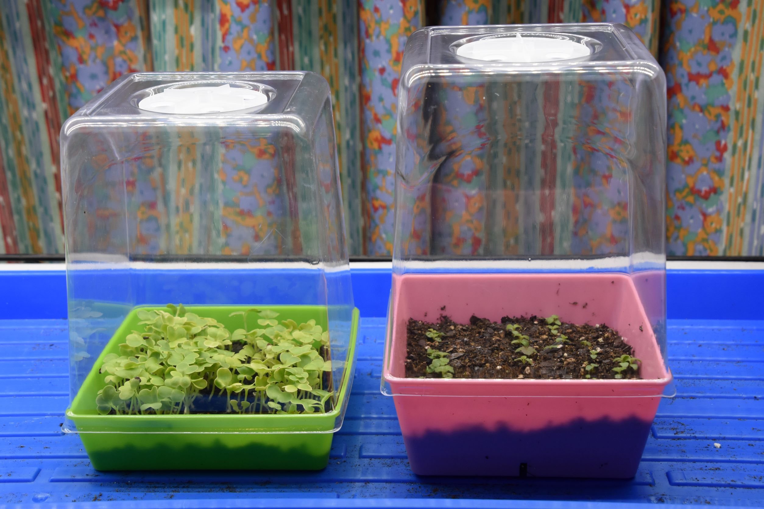 Bootstrap Farmer Reviews Customer Service Reviews of Bootstrap Farmer