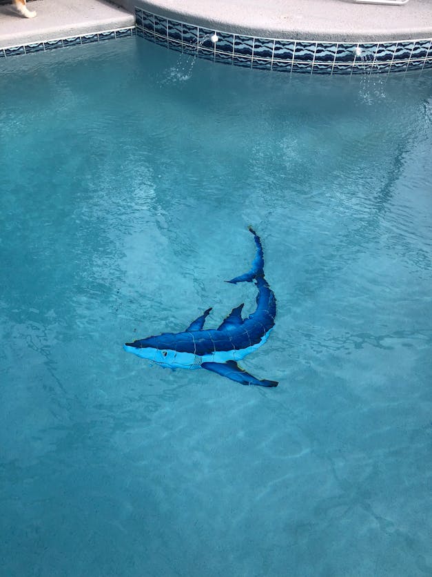Shark Ceramic Pool Mosaic By Custom Mosaics, Inc. | S50-29