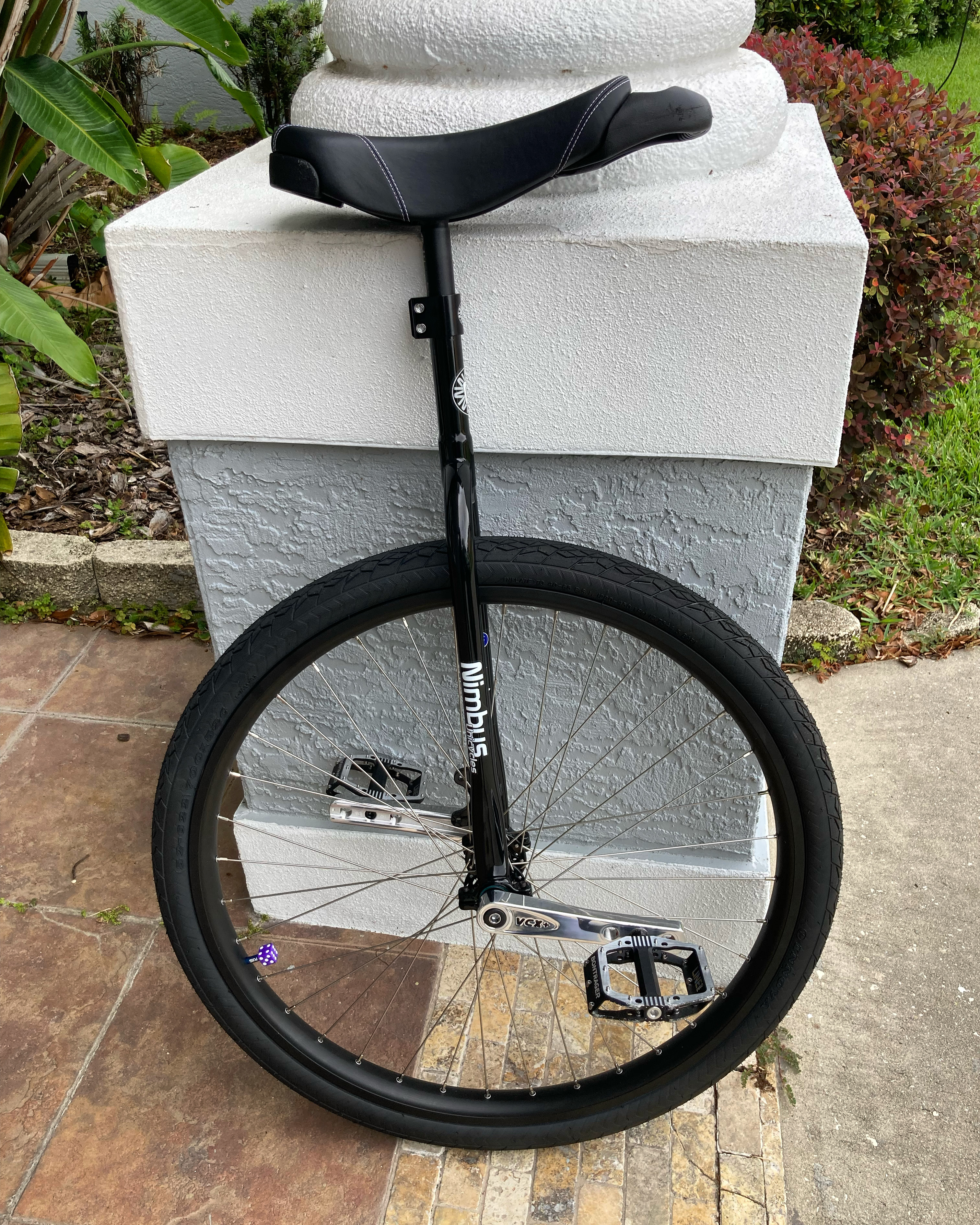 Nimbus 29