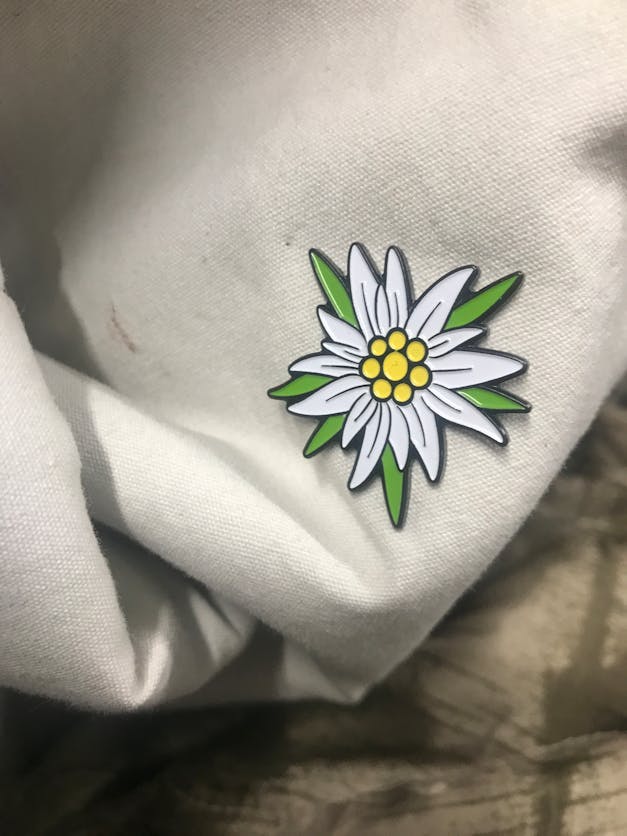 Edelweiss Flower Pin