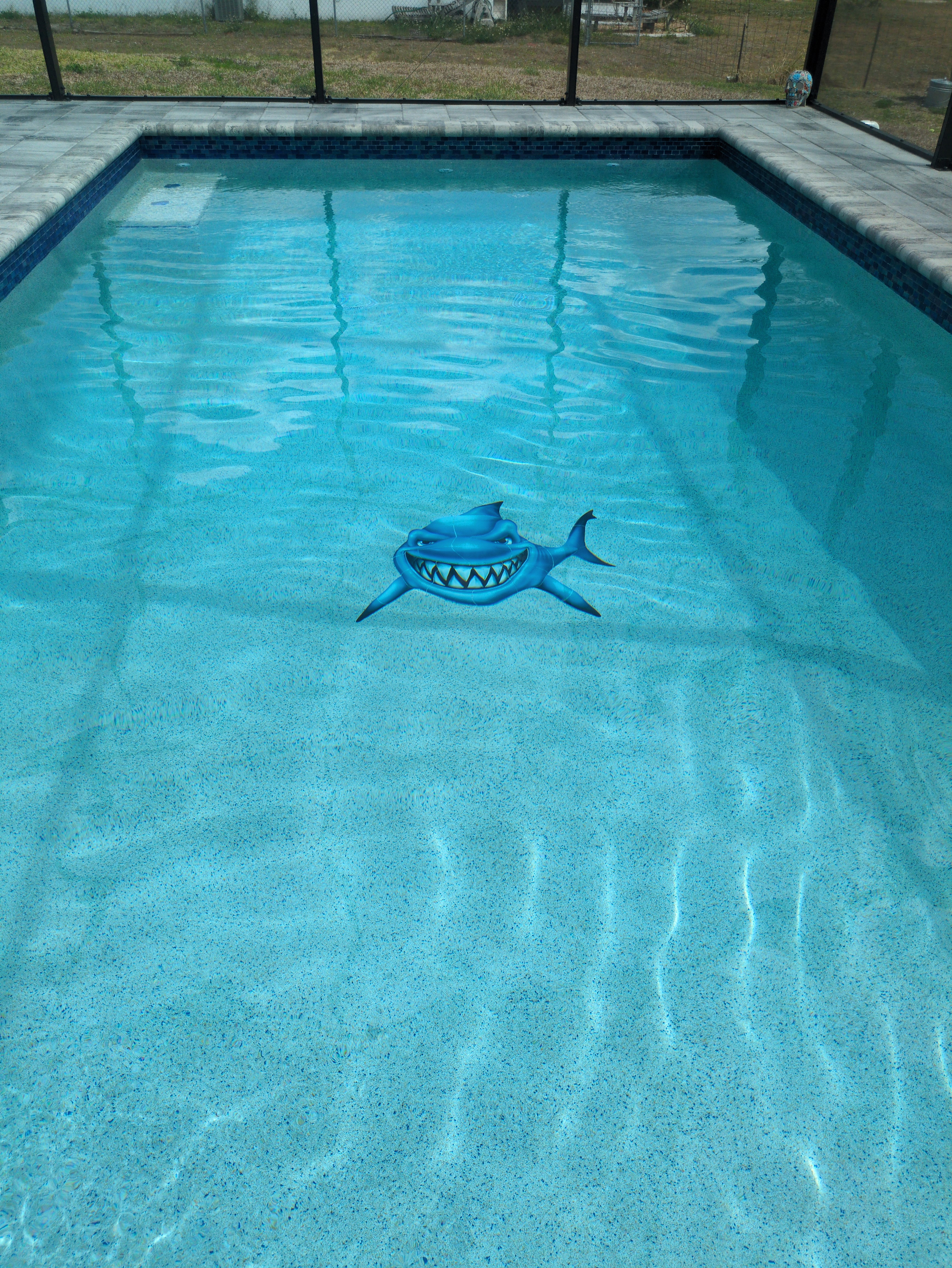 Gotcha Shark Porcelain Pool Mosaic By Custom Mosaics, Inc. | PORC